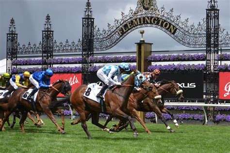 How to Bet on the Melbourne Cup Online (In 5 Easy Steps).